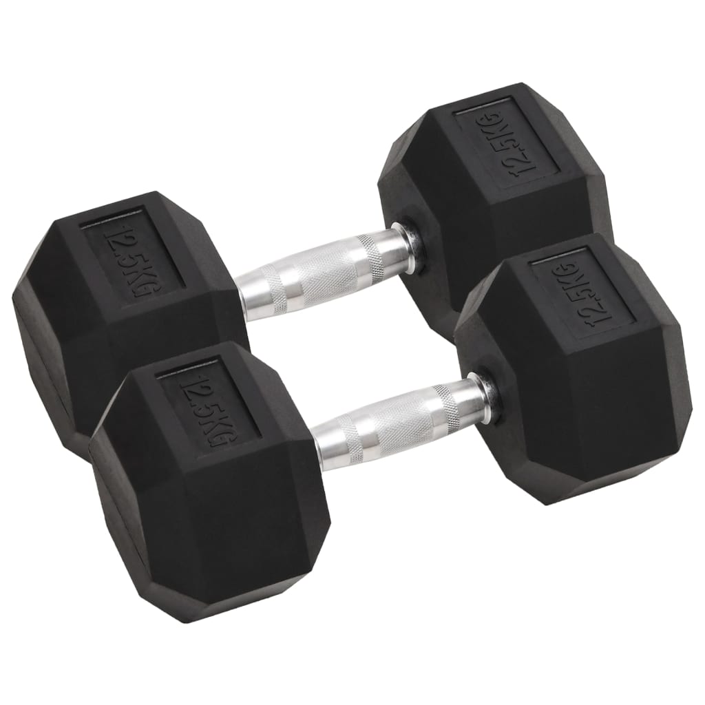 Haltères 2 pcs 25 kg Fonte